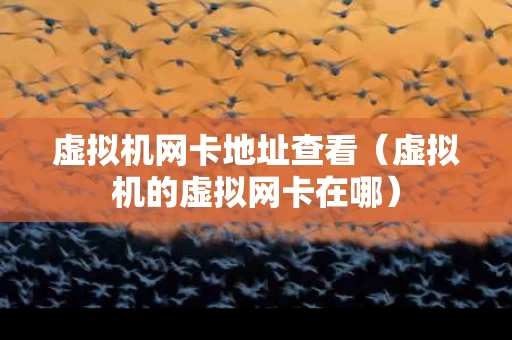 虚拟机网卡地址查看（虚拟机的虚拟网卡在哪）