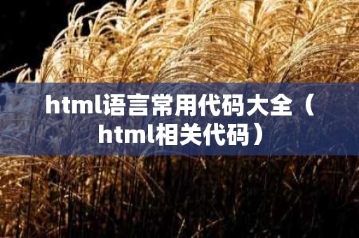 html语言常用代码大全（html相关代码）