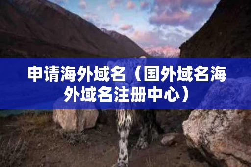 申请海外域名（国外域名海外域名注册中心）