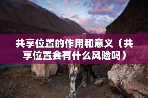 共享位置的作用和意义（共享位置会有什么风险吗）