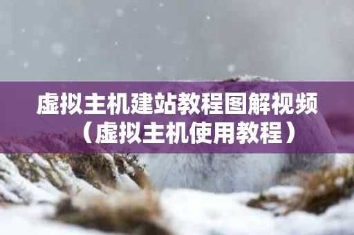 虚拟主机建站教程图解视频（虚拟主机使用教程）