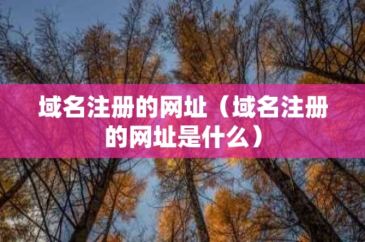 域名注册的网址（域名注册的网址是什么）