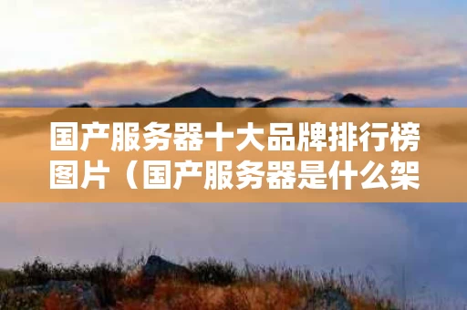 国产服务器十大品牌排行榜图片（国产服务器是什么架构的）