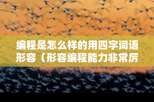 编程是怎么样的用四字词语形容（形容编程能力非常厉害）