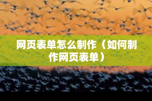 网页表单怎么制作（如何制作网页表单）