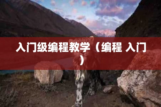 入门级编程教学（编程 入门）