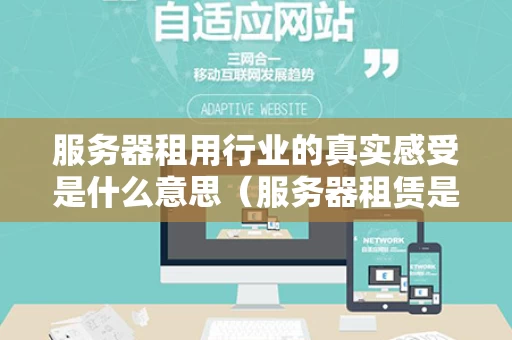 服务器租用行业的真实感受是什么意思（服务器租赁是什么）
