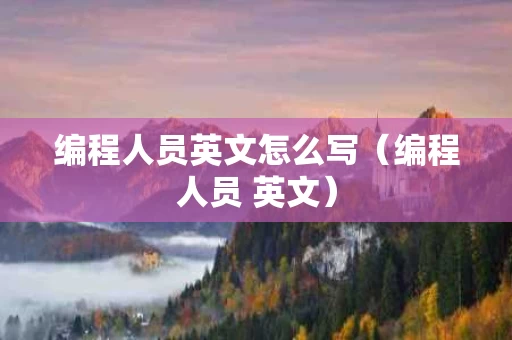 编程人员英文怎么写（编程人员 英文）