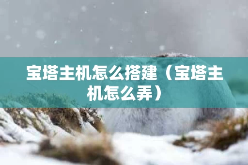 宝塔主机怎么搭建（宝塔主机怎么弄）