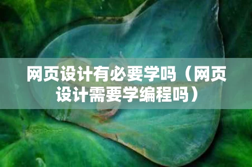 网页设计有必要学吗（网页设计需要学编程吗）