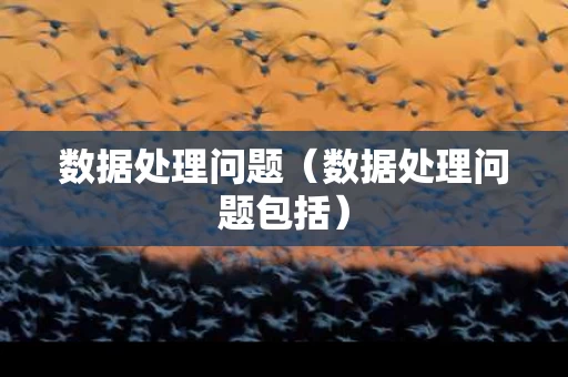 数据处理问题（数据处理问题包括）