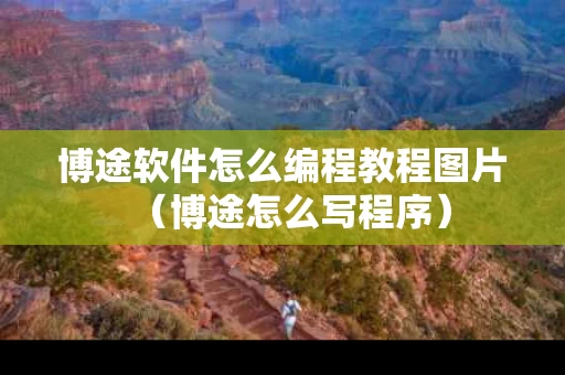 博途软件怎么编程教程图片（博途怎么写程序）