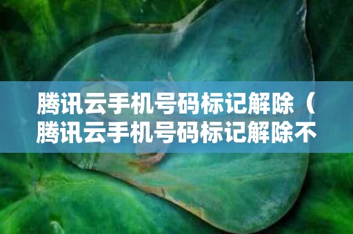 腾讯云手机号码标记解除（腾讯云手机号码标记解除不了）