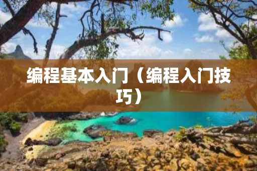 编程基本入门（编程入门技巧）