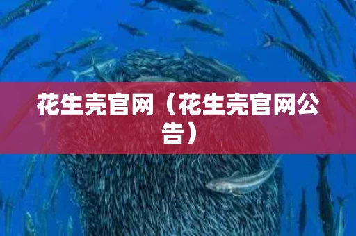 花生壳官网（花生壳官网公告）