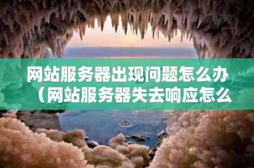 网站服务器出现问题怎么办（网站服务器失去响应怎么回事）