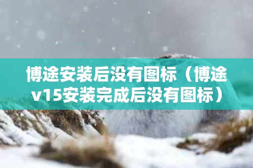 博途安装后没有图标（博途v15安装完成后没有图标）