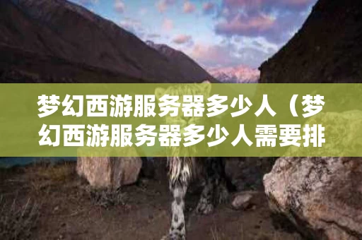 梦幻西游服务器多少人（梦幻西游服务器多少人需要排队?）