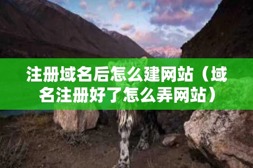 注册域名后怎么建网站（域名注册好了怎么弄网站）