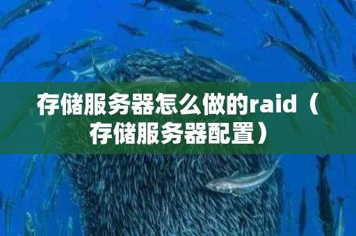 存储服务器怎么做的raid（存储服务器配置）