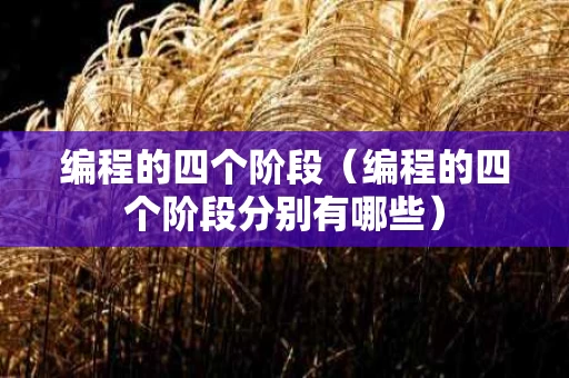 编程的四个阶段（编程的四个阶段分别有哪些）