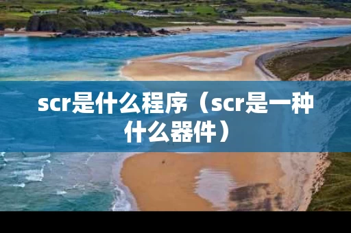 scr是什么程序（scr是一种什么器件）