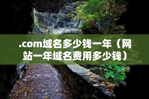 .com域名多少钱一年（网站一年域名费用多少钱）