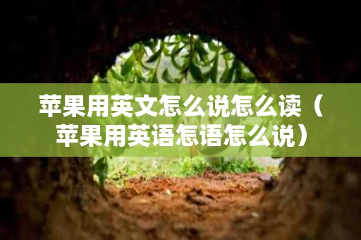 苹果用英文怎么说怎么读（苹果用英语怎语怎么说）