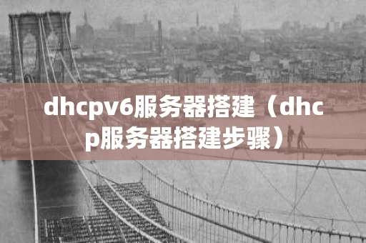 dhcpv6服务器搭建（dhcp服务器搭建步骤）