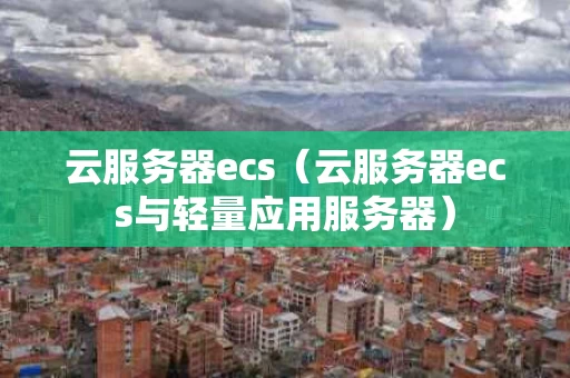 云服务器ecs（云服务器ecs与轻量应用服务器）