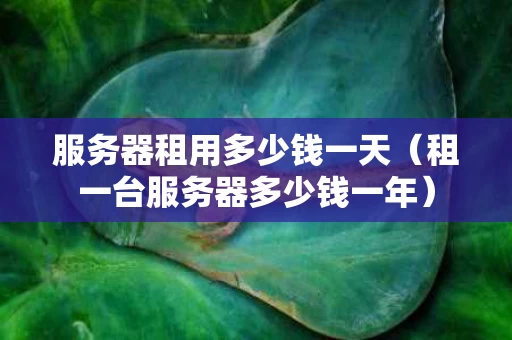 服务器租用多少钱一天（租一台服务器多少钱一年）