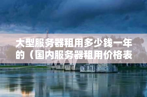 大型服务器租用多少钱一年的（国内服务器租用价格表）