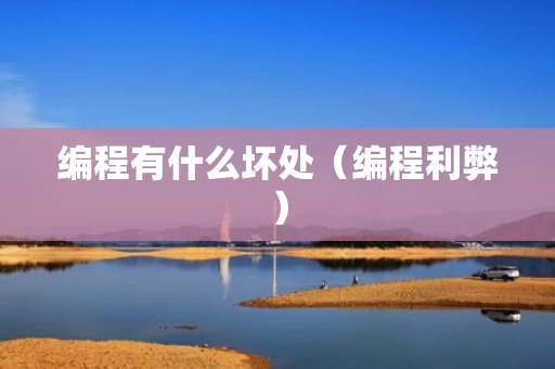 编程有什么坏处（编程利弊）