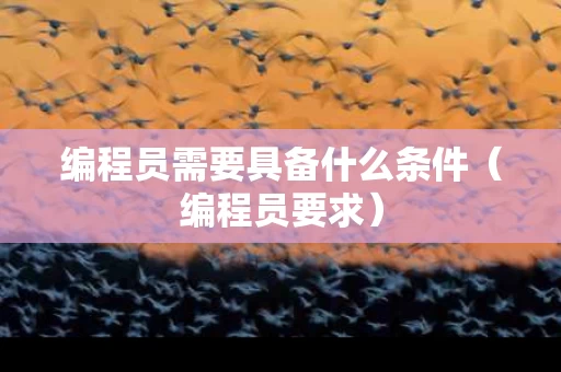 编程员需要具备什么条件（编程员要求）