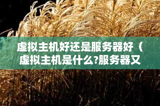 虚拟主机好还是服务器好（虚拟主机是什么?服务器又是什么）