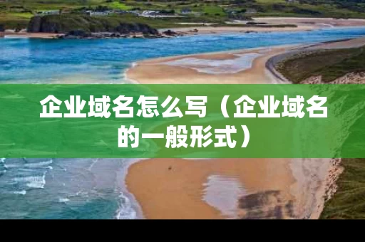 企业域名怎么写（企业域名的一般形式）