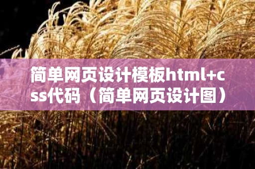 简单网页设计模板html+css代码（简单网页设计图）