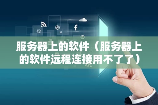 服务器上的软件（服务器上的软件远程连接用不了了）