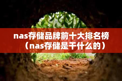 nas存储品牌前十大排名榜（nas存储是干什么的）