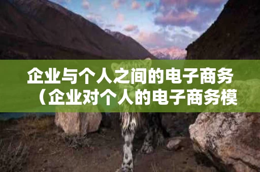 企业与个人之间的电子商务（企业对个人的电子商务模式简称为）