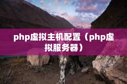 php虚拟主机配置（php虚拟服务器）