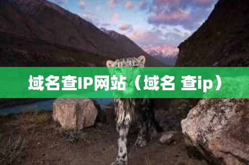 域名查IP网站（域名 查ip）