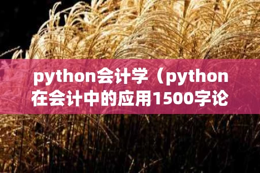python会计学（python在会计中的应用1500字论文）