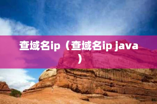 查域名ip（查域名ip java）