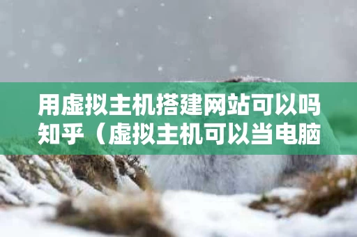 用虚拟主机搭建网站可以吗知乎（虚拟主机可以当电脑用吗）