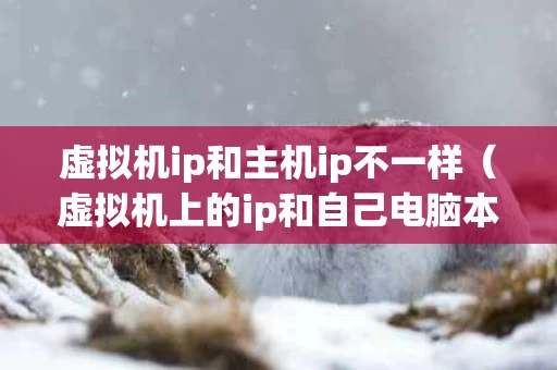 虚拟机ip和主机ip不一样（虚拟机上的ip和自己电脑本身的ip一样吗）