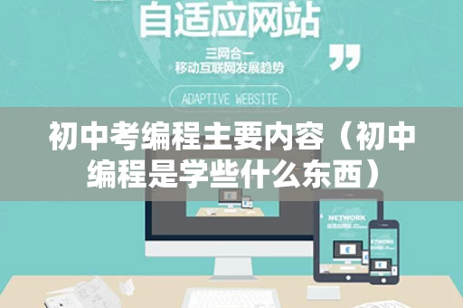 初中考编程主要内容（初中编程是学些什么东西）