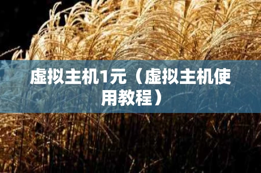 虚拟主机1元（虚拟主机使用教程）