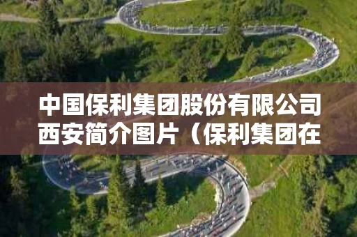 中国保利集团股份有限公司西安简介图片（保利集团在西安的在建项目）