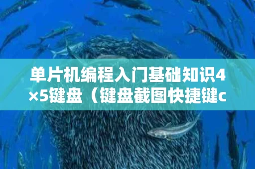 单片机编程入门基础知识4×5键盘（键盘截图快捷键ctrl加什么）